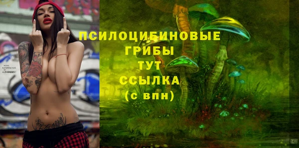 стаф Алексин