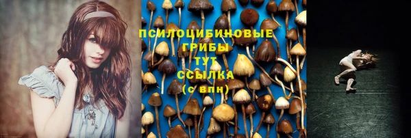 стаф Алексин